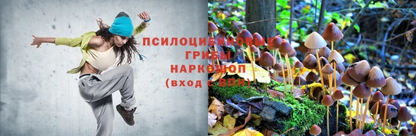 прущие крисы Беломорск