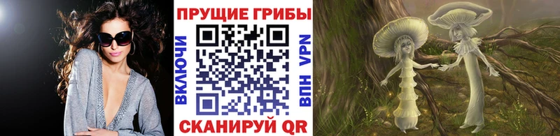МЕГА купить цена Тимашёвск Псилоцибиновые грибы мухоморы